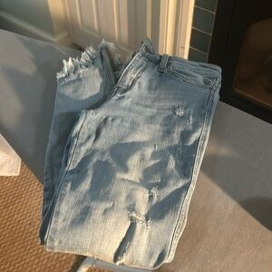 Flying monkey Jean 25